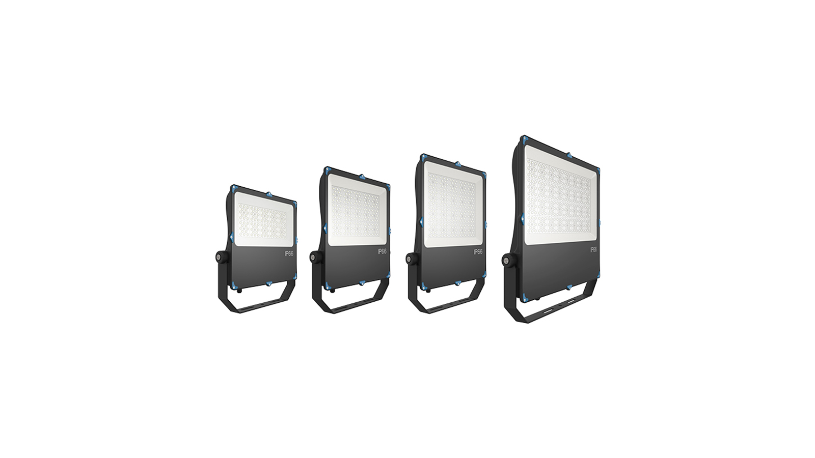 LED Flood Light